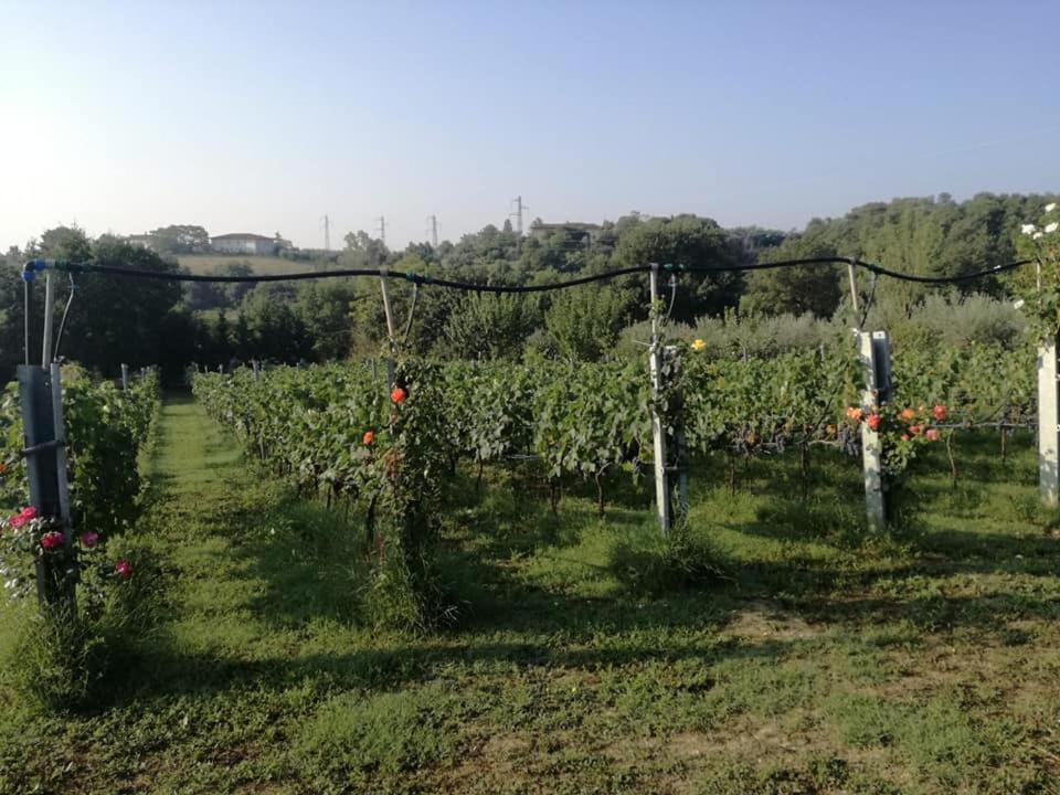 Villa Il Casale di Lucullo Lucignano Esterno foto