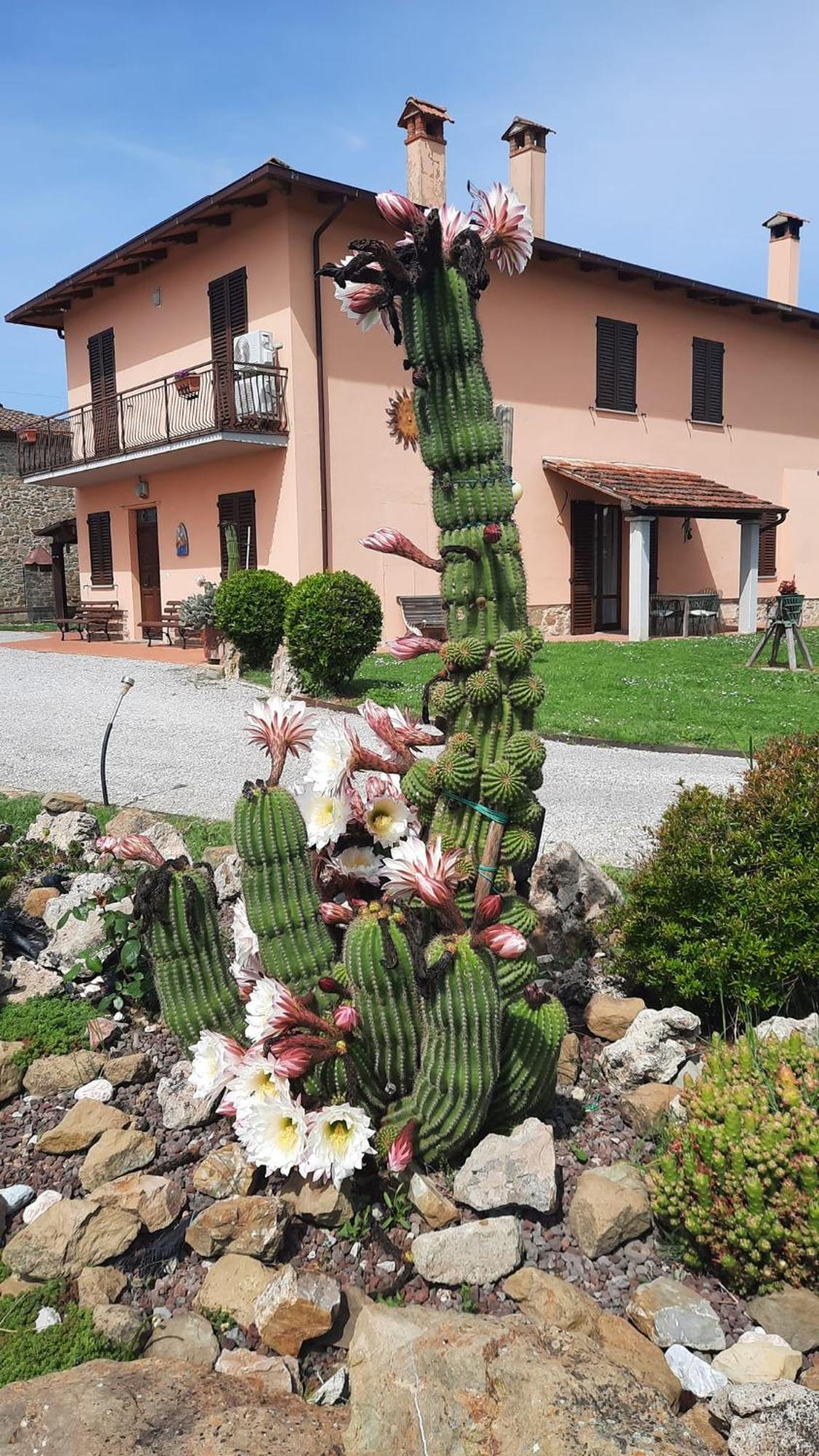 Villa Il Casale di Lucullo Lucignano Esterno foto