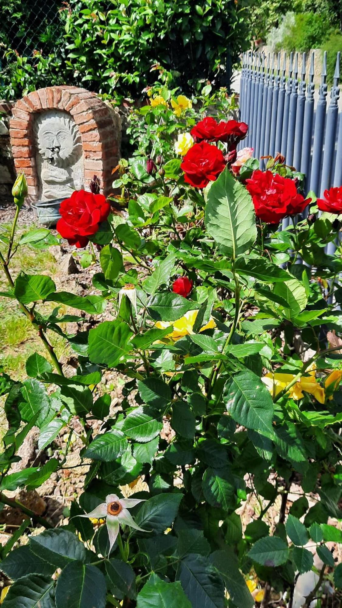 Villa Il Casale di Lucullo Lucignano Esterno foto